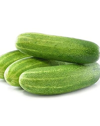 CUCUMBER