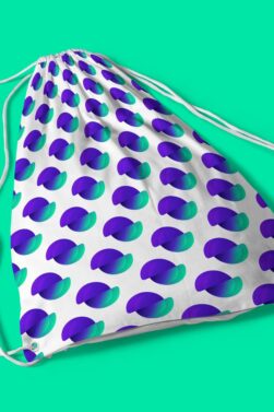 Divi Engine String Bag (Small Logos)